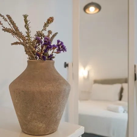 Апартаменты Elia Horizon Mykonos